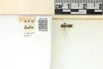 Media type: image;   Entomology 768669 Aspect: Labels